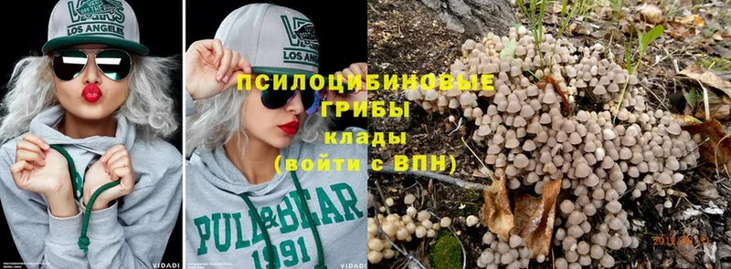 kraken ONION  Березники  Псилоцибиновые грибы MAGIC MUSHROOMS 